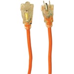 AXIS 45510 1-Outlet Indoor/Outdoor Workshop Extension Cord (100ft)