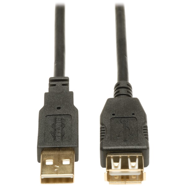 10FT USB GOLD AA EXT CBL